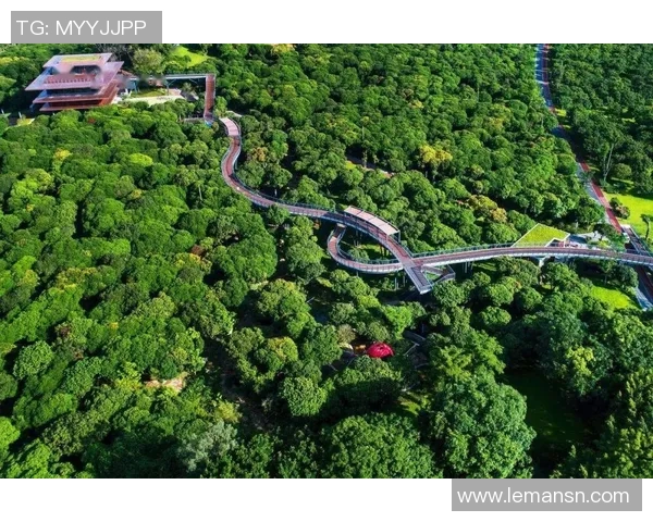 深圳排球队的节奏革新探索与实践推动竞技水平提升的全新路径